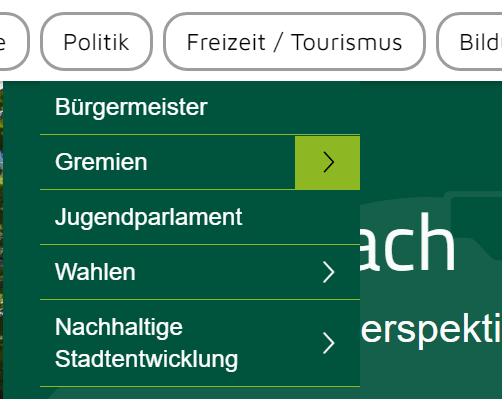 geöffneter Navigationspunkt "Politik"